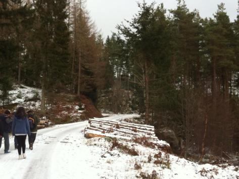 3399_466011763460708_738942699_n